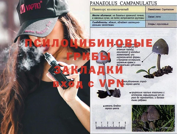 трава Балабаново