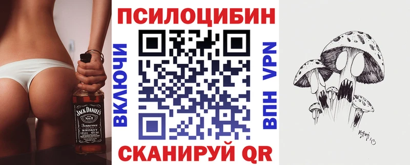 где купить   Белый  Галлюциногенные грибы прущие грибы 